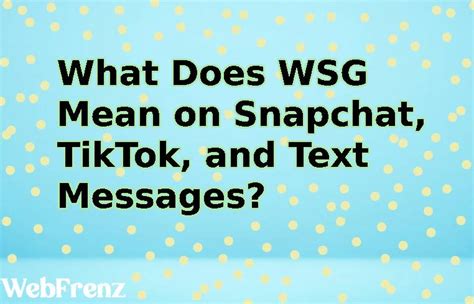 wsg mean in text|What Does WSG Mean On Snapchat, Texting